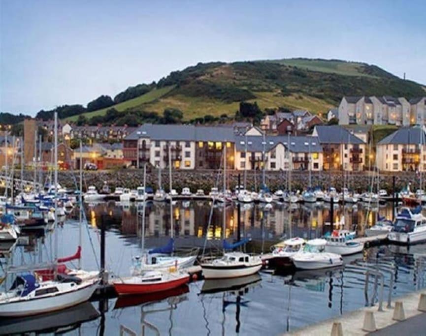 Bridge View Victorian Townhouse Central Aberystwyth Sleeps 6 מראה חיצוני תמונה